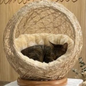 Cama Nido Bola Artesanal Premium para Gatos Amore Cat