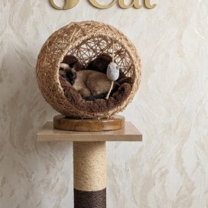 Torre Cama Nido Elevada Premium para Gatos Amore Cat